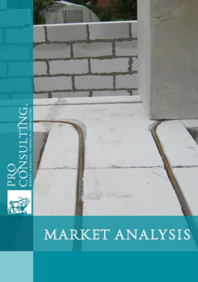 Analysis of opportunities to enter the market of thermal insulation materials (aerated concrete). 2024 year